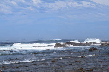 Fototapeta premium Sea