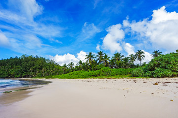 Fototapeta na wymiar beautiful paradise beach at the police bay, seychelles 42