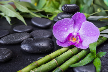 Obraz na płótnie Canvas Spa concept with zen stones, orchid flower and bamboo