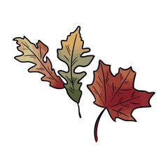 Autumn fallen colorful leaves hand drawn image