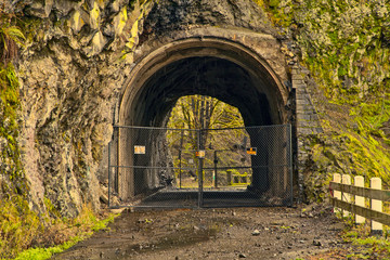 Burnt out old wood tunnel