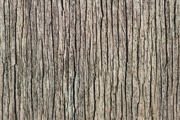 Old wooden cracked surface as texture, background, abstract