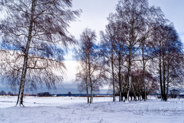  Mroźna zima na Podlasiu, Polska