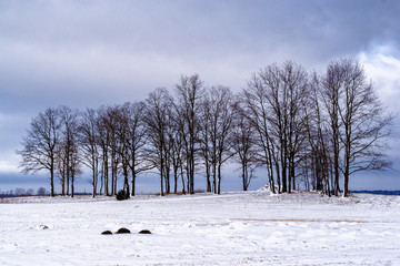  Mroźna zima na Podlasiu, Polska