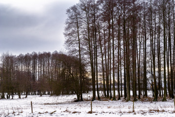  Mroźna zima na Podlasiu, Polska © podlaski49