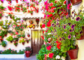 Nice patio with flowers in Cordoba, Spain