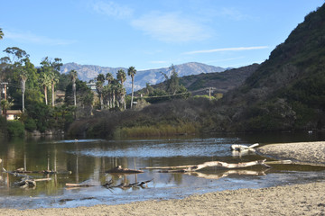 Drift wood floating to the shore of Hendry's beach
