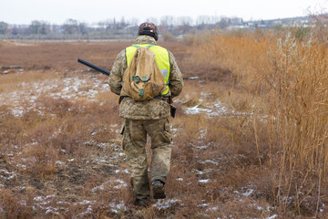 Naklejka premium Hunter with a gun and a dog go on the first snow in the steppe, Hunting pheasant in a reflective vest 