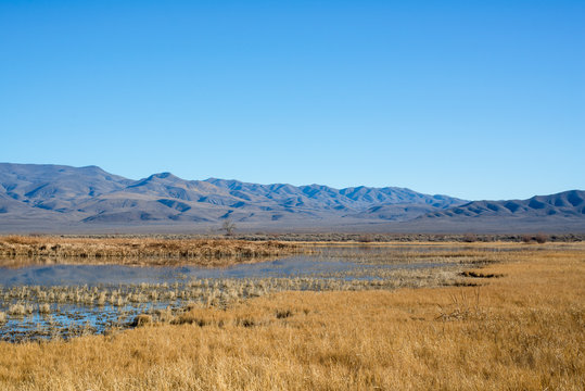 Foxtail Lake Stillwater National Wildlife Refuge