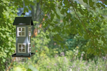 Cute birdhouse hanging in green garden concept
