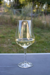 White wine glass on simple rustic dark table