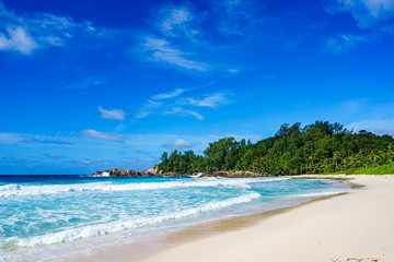 Fototapeta na wymiar Beautiful tropical beach,palms,white sand,granite rocks,seychelles 8
