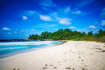 beautiful paradise tropical beach,palms,rocks,white sand,turquoise water, seychelles 2