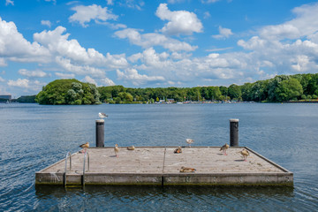 A beautiful lake (Sloterplas), in the west of Amsterdam, Netherlands.