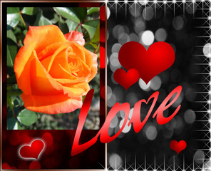 Valentine's day greeting card with a picture of an orange rose