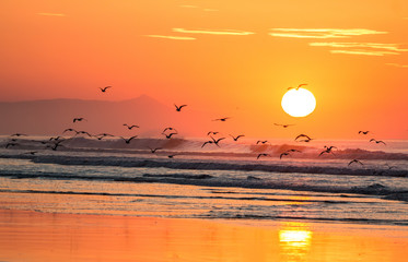 Amazing Sunrise of Cuco Beach, El Salvador
