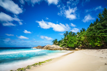 beautiful paradise tropical beach,palms,rocks,white sand,turquoise water, seychelles 34