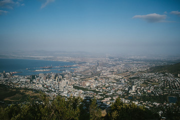Fototapeta premium Lions Head South Africa