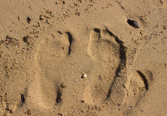 footprints in the sand