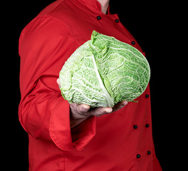 chef in a red uniform holds a whole cabbage