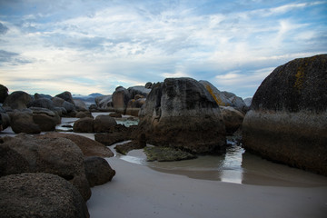 Penguin Beach Cape Town