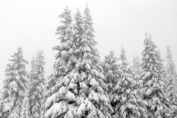 Winter alpine landscape in National Park Retezat, Carpathians, Romania, Europe. Snow covered moutains scenery