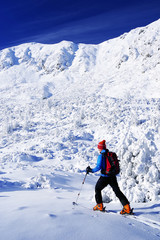Fototapeta na wymiar Ski touring in harsh winter conditions