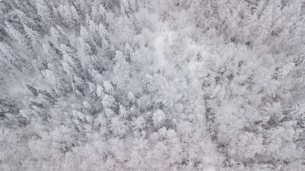 Top down aerial view over the tops of frosty forest. The trees are covered with snow. Directly above view.