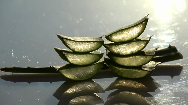 mehrere St&uuml;ck Aloe Vera werden herangezoomt
