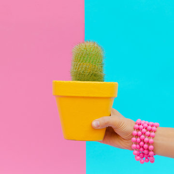 Hand with stylish accessories holds cactus. Candy minimal colorful concept art