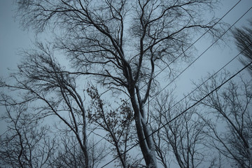 Snow-covered landscape. Severe winter snow, wind, cold