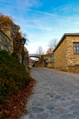 Traditional stone houses in the village of Nymfaio. There is a small bridge in the background linking two mansion houses