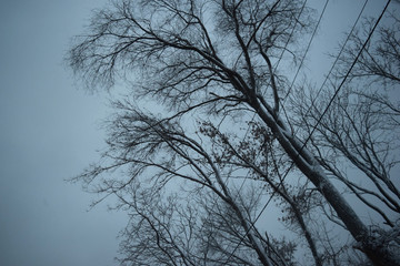 Snow-covered landscape. Severe winter snow, wind, cold