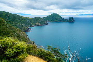 Naklejka premium Hiking the Coromandel Coastal Walkway, New Zealand 7