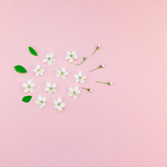 Obraz na płótnie Canvas White spring cherry tree blooming flowers pattern