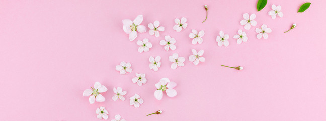 White spring cherry tree blooming flowers pattern