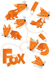 cartoon scene with set of foxes on white background with sign name of animal - illustration for children