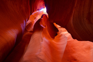 Scenic Canyon Antelope, Arizona