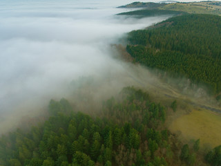 Fog in Orcines, Puy-de-Dome, Auvergne-Rhone-Alpes, France