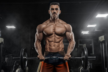 Young handsome sexy man, athlete, bodybuilder, weightlifter, in a modern gym is covered with a dark background, doing exercises for the biceps using sporting goods - weights.  - 242043486