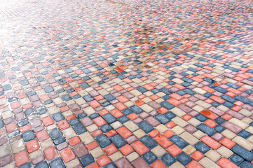Fototapeta premium Abstract colorful background of sidewalk tiles - Sidewalk tile as a background for advertising