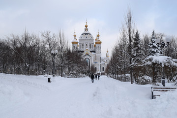 Snow covered Park Christmas trees trees falling snow