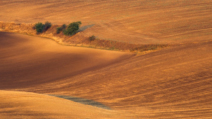 Fototapeta na wymiar Rolling hills in South Moravian region