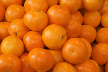 tangerine harvest. many tangerines.mandarine close up	