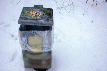 Waste Bin with Bird Seed