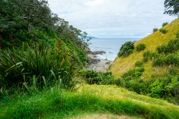 Fototapeta na wymiar Hiking the Coromandel Coastal Walkway, New Zealand 63