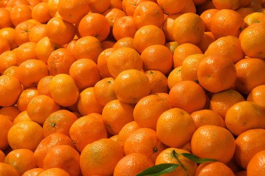 Fresh tangerines on display in the grocery store