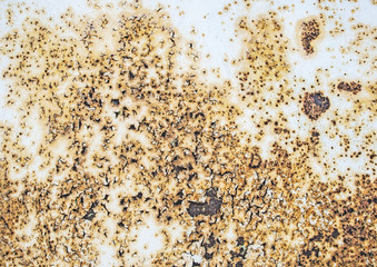 Rust background and texture. Iron. Old white paint.