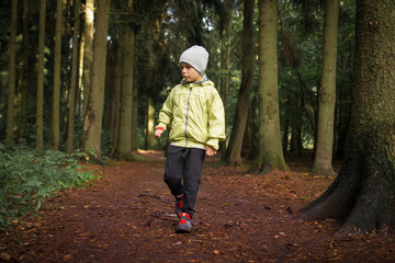 Little boy walks on path in forest park.