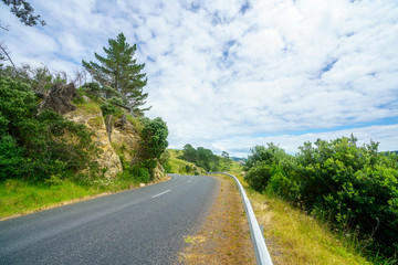 Fototapeta na wymiar road in green hills,coromandel peninsula, new zealand 1